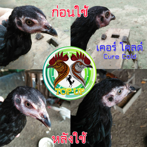 ผลการใช้ยารักษาหวัด หน้าบวม