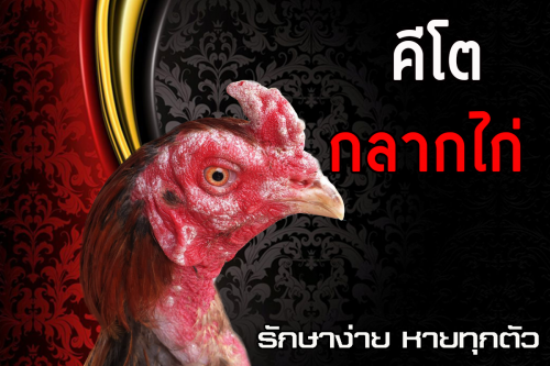 คีโต กลากไก่