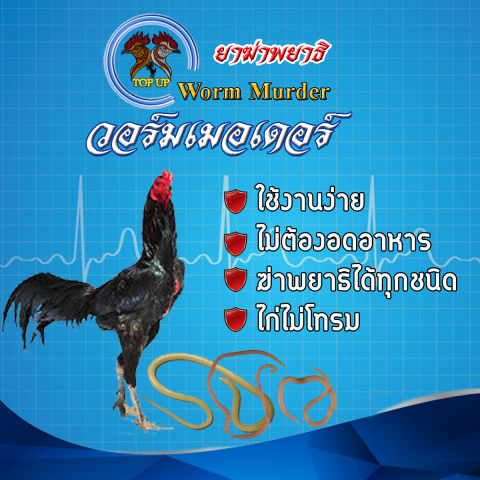 วอร์มเมอเดอร์ ฆ่าพยาธิ