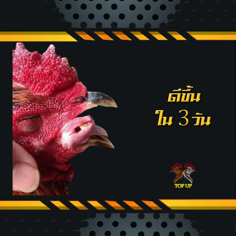 รักษาคอดอก ท็อปอัพ