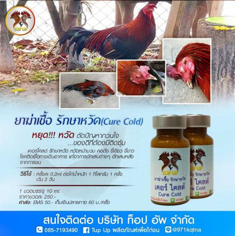เคอร์โคลด์ รักษาหวัด