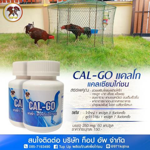 แคลโก แคลเซียมไก่ชน