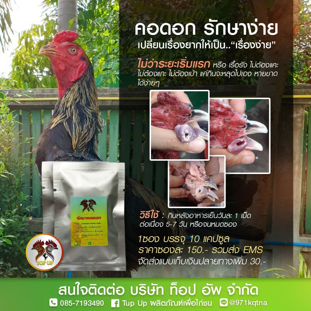 ยารักษาคอดอก ท็อปอัพ