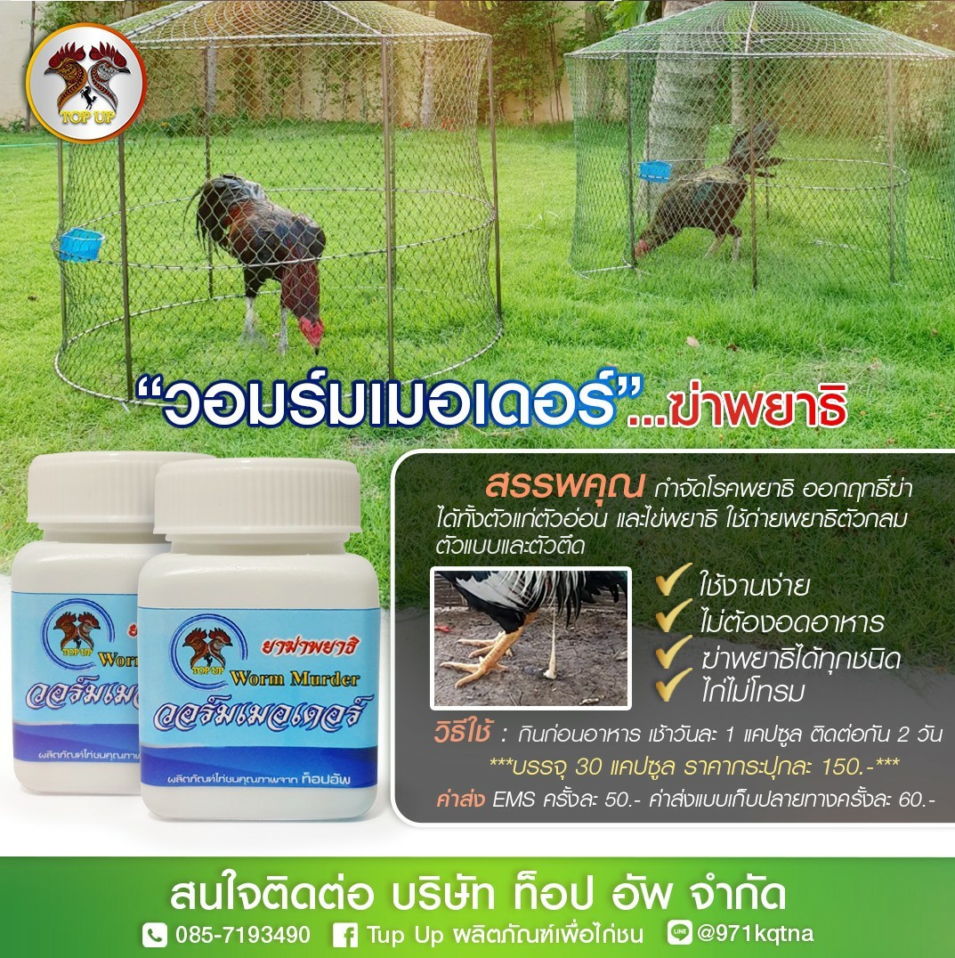 วอร์มเมอเดอร์ ฆ่าพยาธิไก่ชน