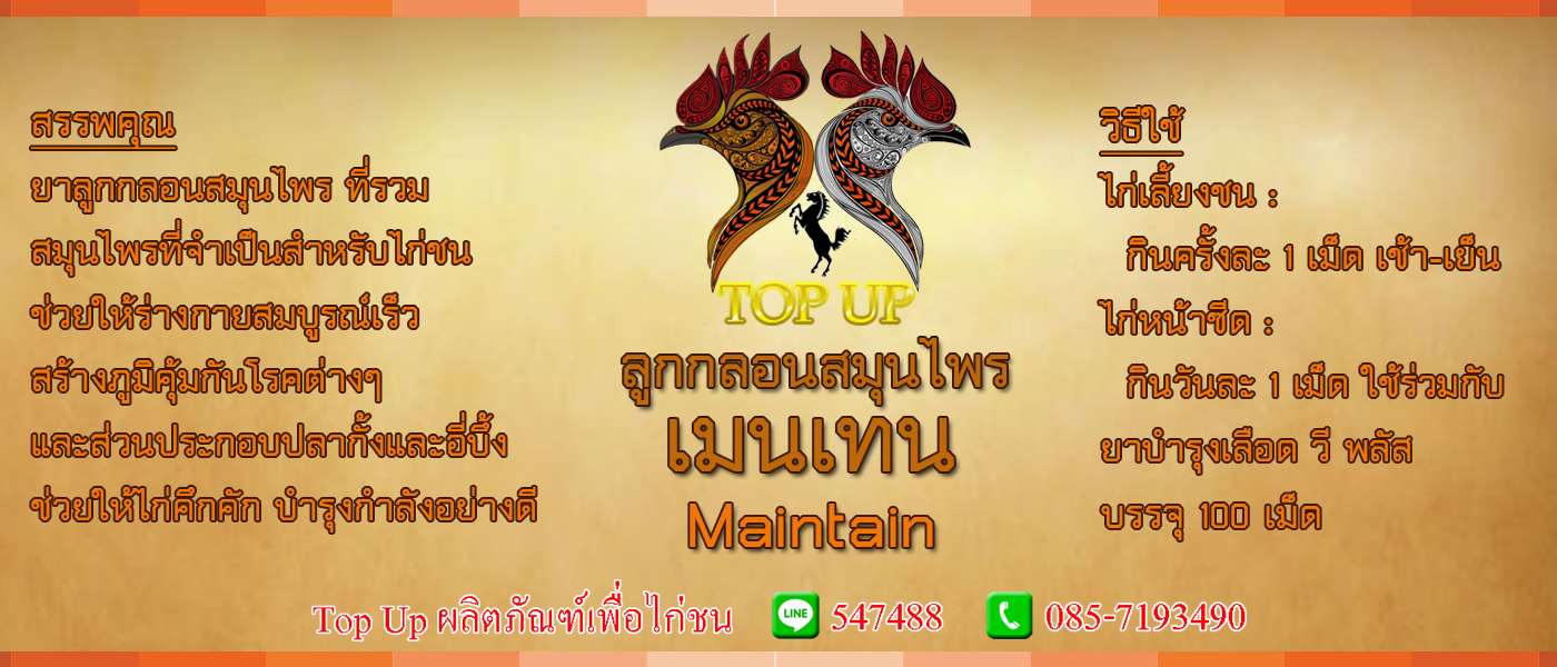 เมนเทน (Maintain) ลูกกลอนสมุนไพร